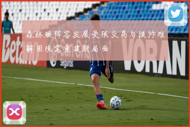 森林狼阵容发展受限交易与换帅难解困境需重建新局面