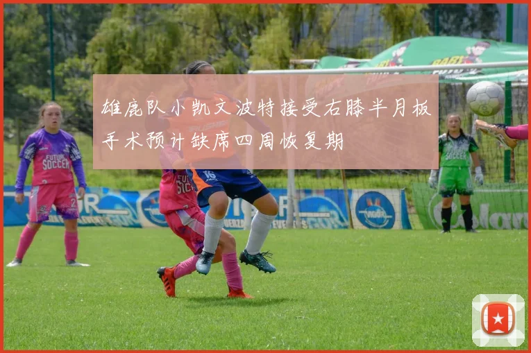 雄鹿队小凯文波特接受右膝半月板手术预计缺席四周恢复期