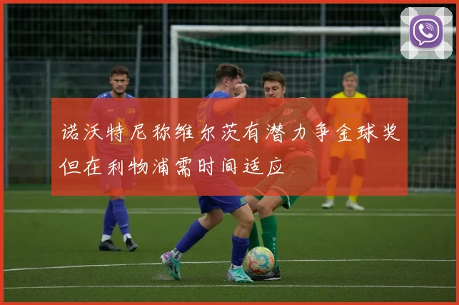 诺沃特尼称维尔茨有潜力争金球奖但在利物浦需时间适应