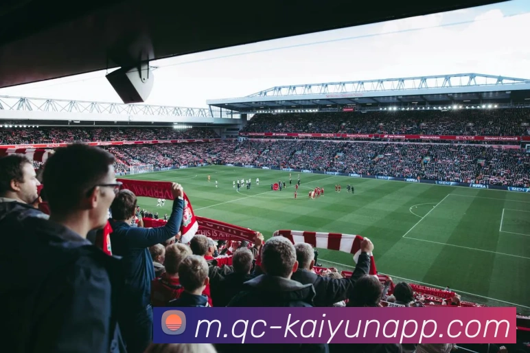 开云体育服务体系