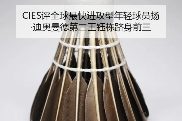 CIES评全球最快进攻型年轻球员扬·迪奥曼德第二王钰栋跻身前三 | kaiyun